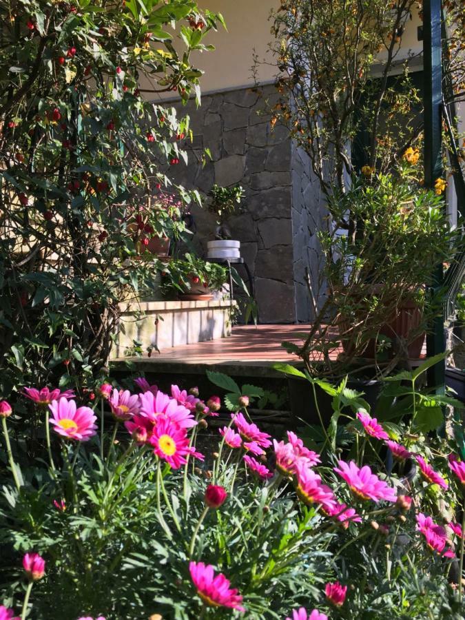 Il Nido Della Rondine Bed & Breakfast Leivi ภายนอก รูปภาพ